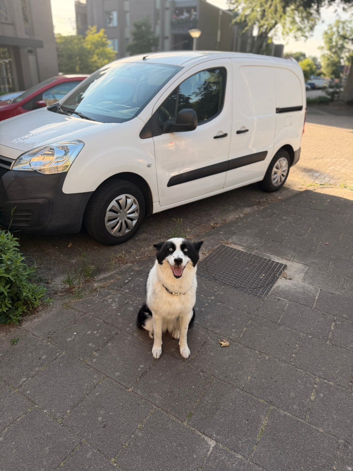 Citroën Berlingo 1.6 72KW 2017 benzin, Auto's, Voorwielaandrijving, 1280 kg, Euro 6, 4 cilinders