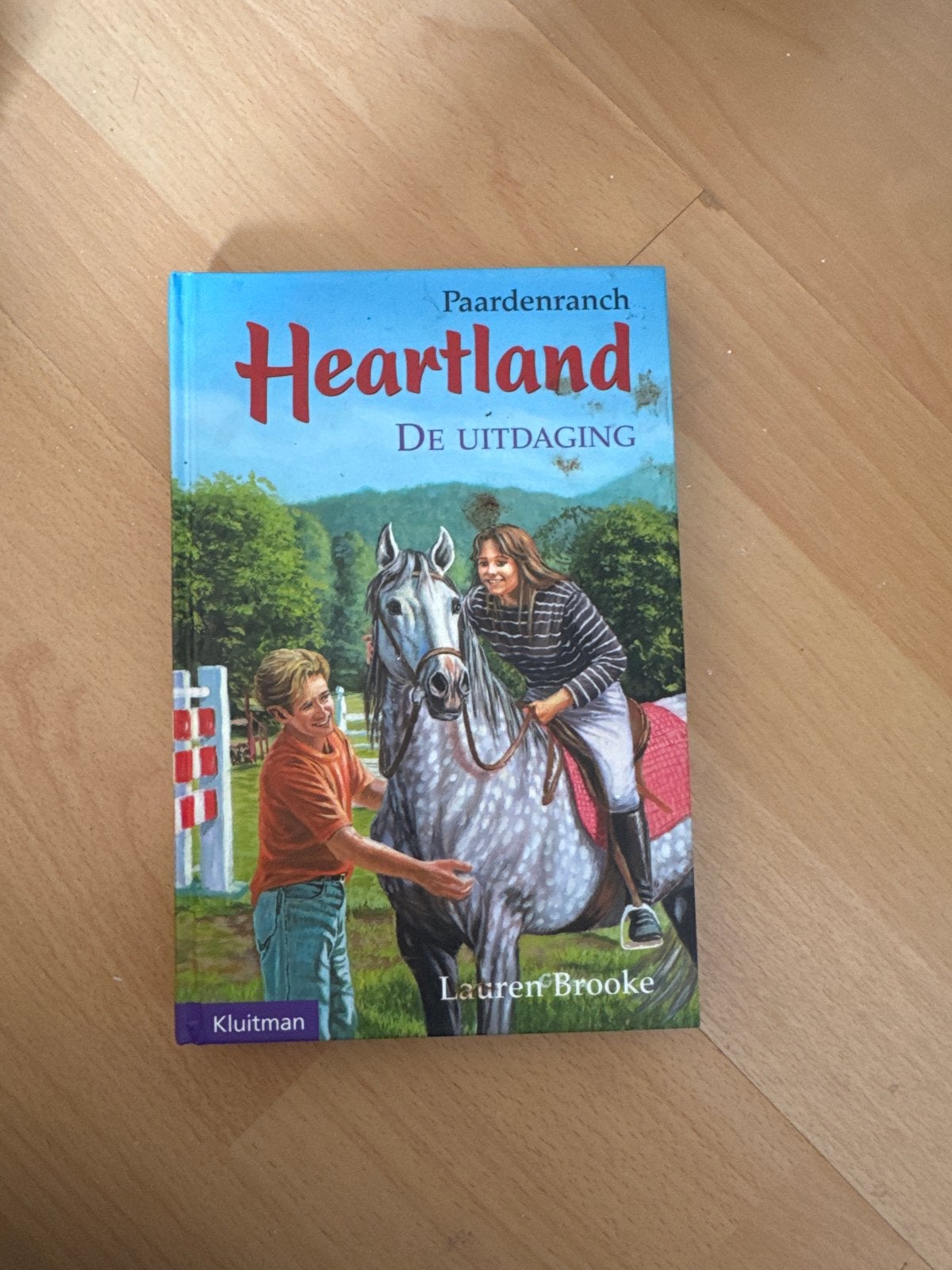 Heartland: De Uitdaging - Paardenboek Lauren Brooke, Ophalen of Verzenden, Gelezen, Nederland