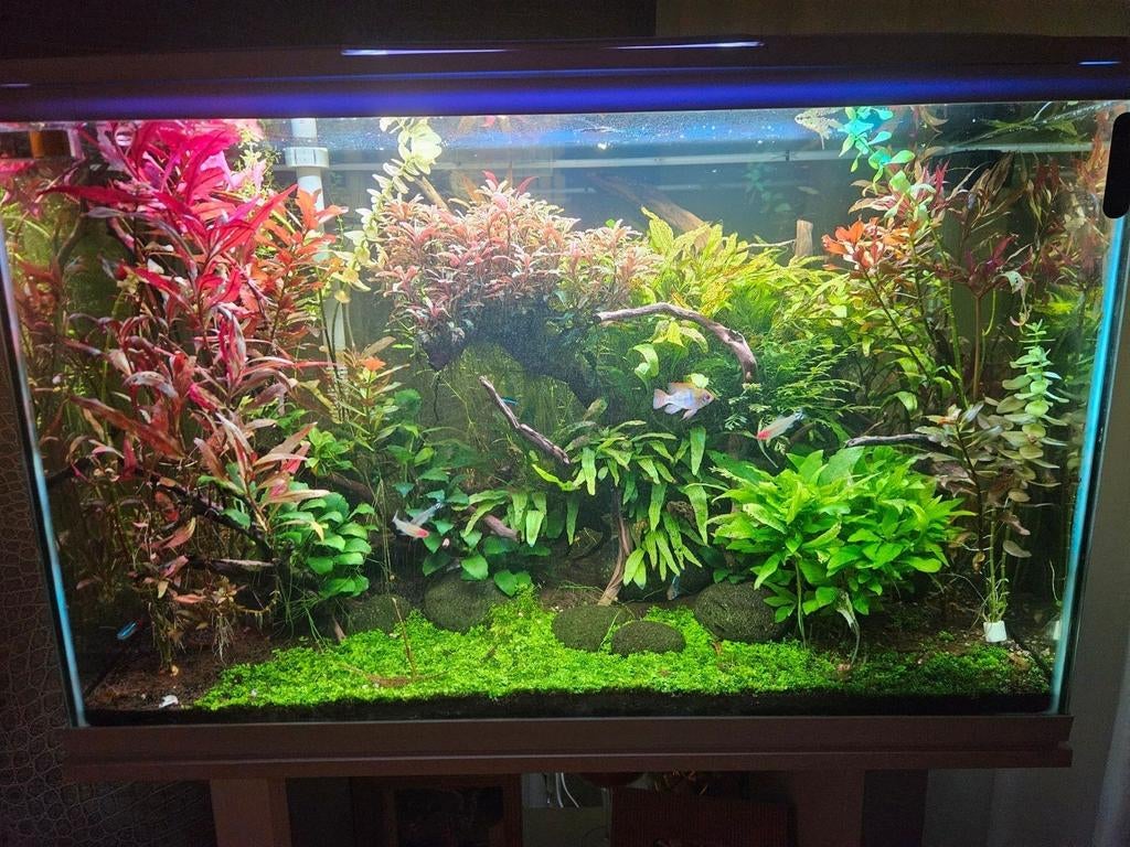 Superfish start 150 liter, Ophalen, Zo goed als nieuw