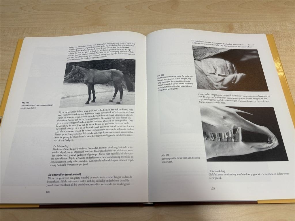 Paardentanden — Leeftijd & Gebit bij Paarden [1998], Ophalen of Verzenden, Zo goed als nieuw, Paarden of Pony's