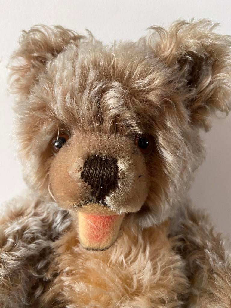 Steiff teddybeer Zotty, 6335, 35cm, Verzamelen, Beren en Cherished Teddies, Ophalen of Verzenden, Zo goed als nieuw, Stoffen beer