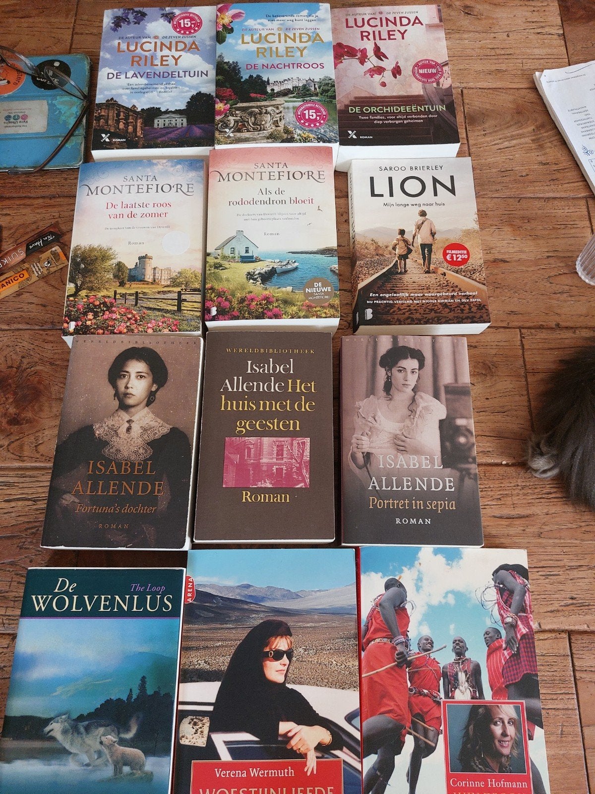 Boekenpakket: 12 Romans van diverse auteurs, Ophalen of Verzenden, Gelezen, Isabel Allende, Lucinda Riley, Santa Montefiore e.a.