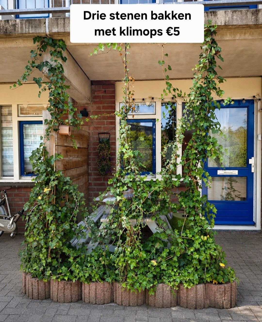 Drie stenen bakken met klimop - Bijna gratis!, Ophalen