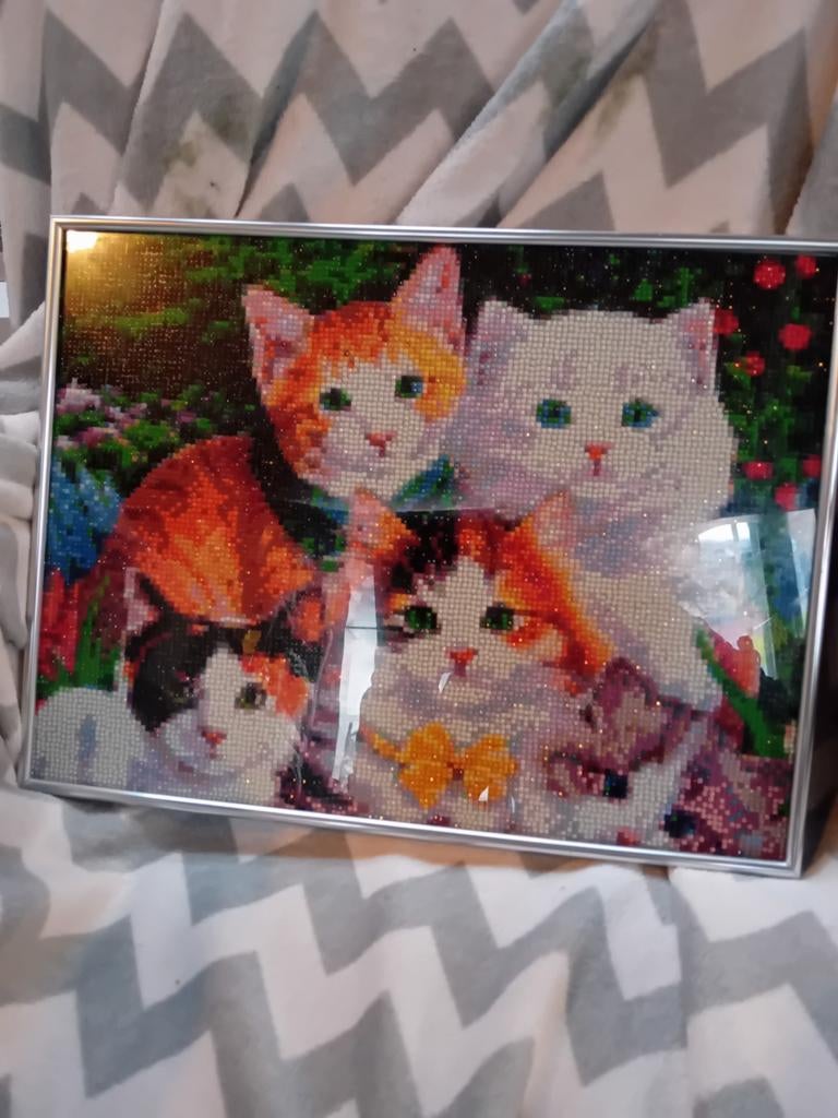 Diamond painting schilderij poesjes, Ophalen of Verzenden, Nieuw, Knutselwerk