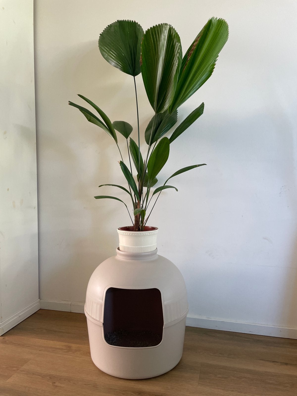 Kattenbak/plantenpot zgan, Ophalen, Zo goed als nieuw