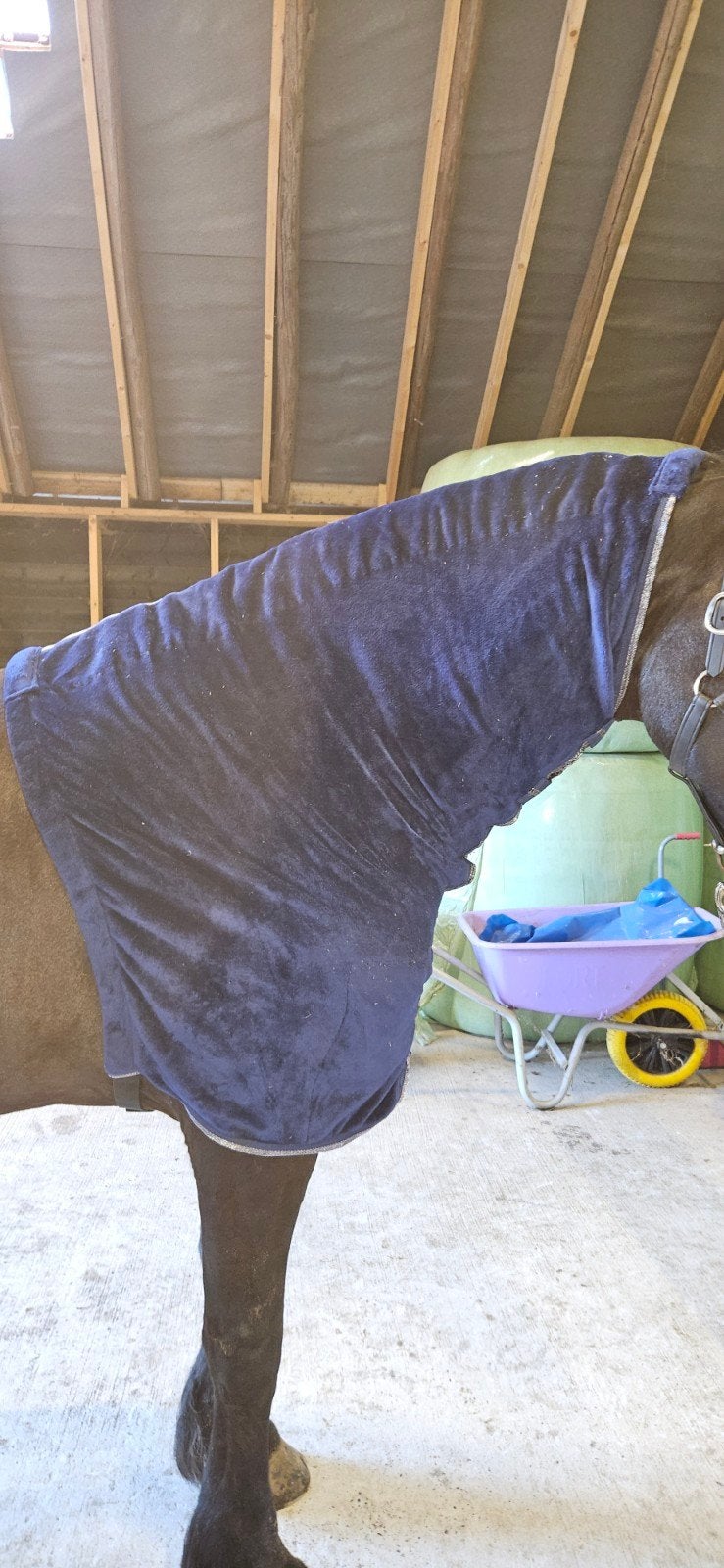 Losse hals maat paard L QHP, Full (L), Gebruikt, QHP, Halsdeken