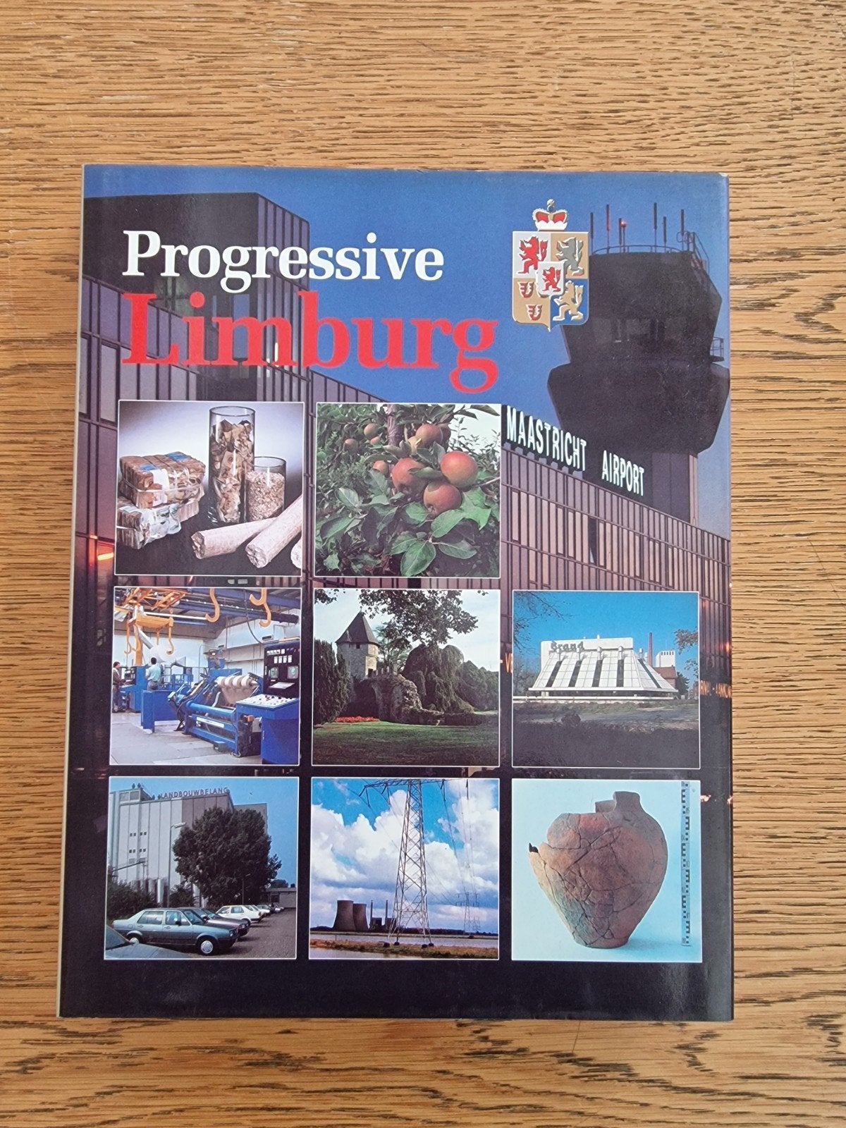 Progressive Limburg - Vooruitstrevend Limburg Boek, Ophalen of Verzenden, Gelezen, Jan M.G. Derix