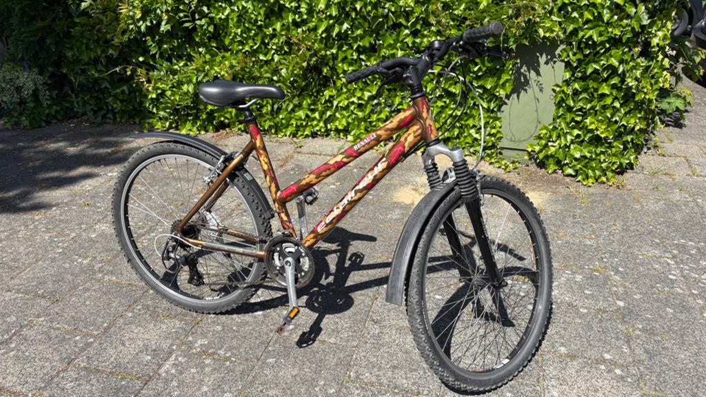 VINTAGE - Renault Eclaireur Mountainbike - 19 inch frame, Gebruikt, Hardtail, 45 tot 49 cm, Ophalen