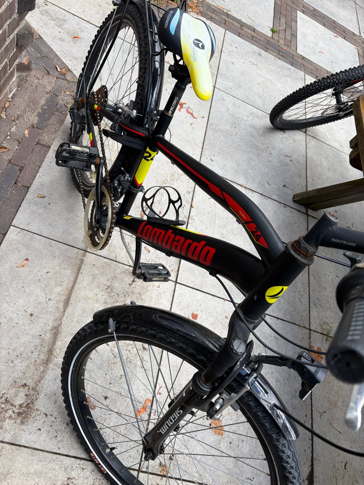 Lombardo fiets 24 inch, Ophalen, Gebruikt, 20 inch of meer