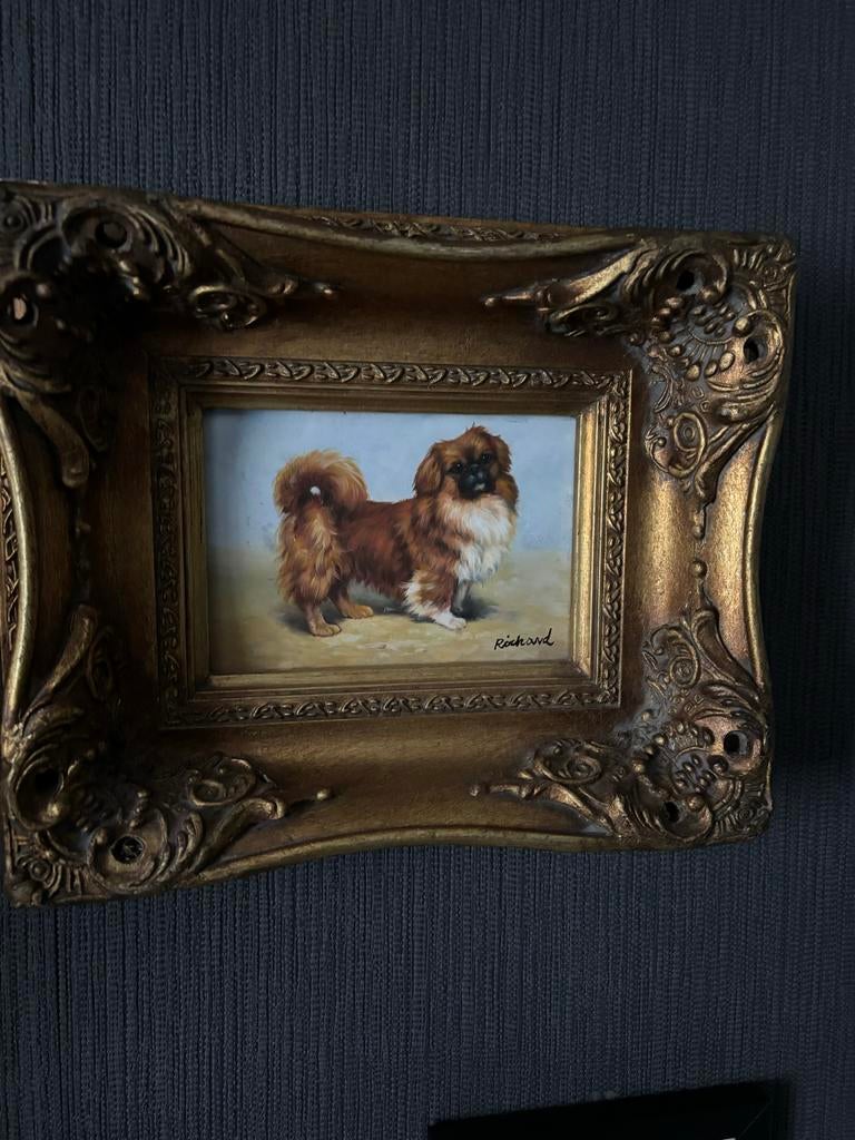 Schilderij Pekinees hondje, gesigneerd Richard, Ophalen of Verzenden