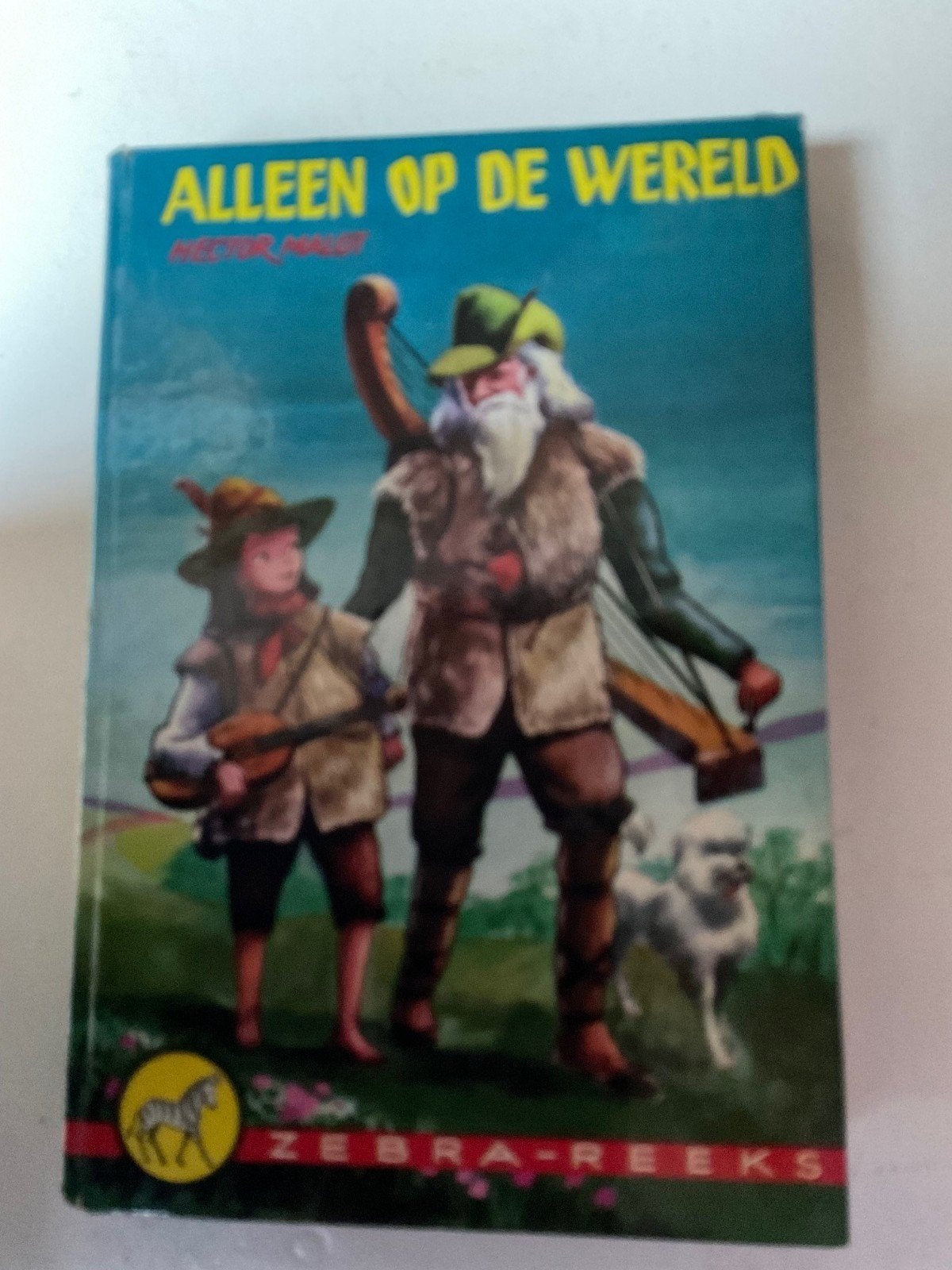 Remi Alleen op de Wereld - Zebra-reeks, Boeken, Ophalen of Verzenden, Gelezen, Hector Malot, Fictie algemeen