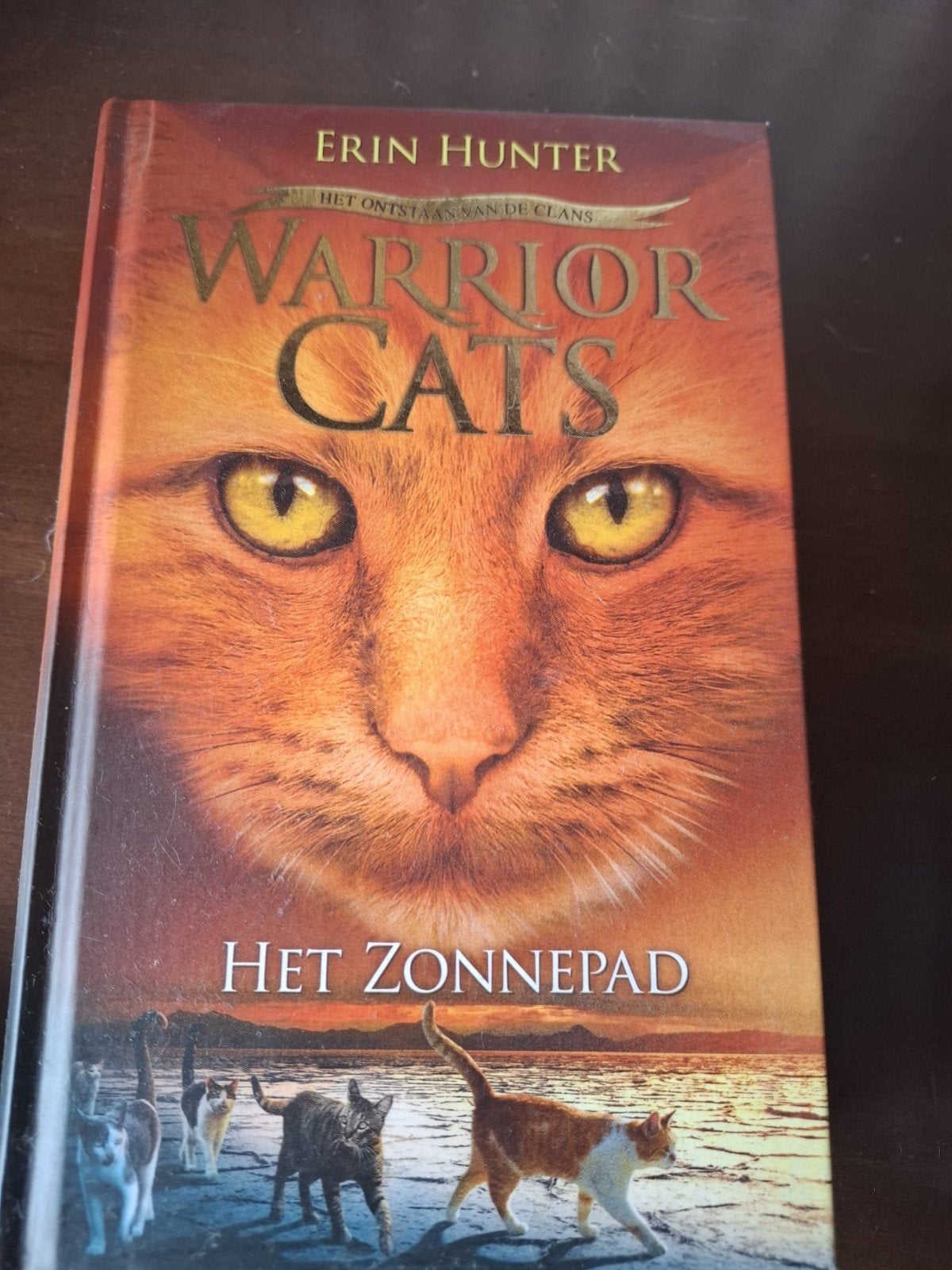 Warrior Cats Boeken - Diverse delen, Boeken, Ophalen, Zo goed als nieuw, Erin Hunter, Fictie