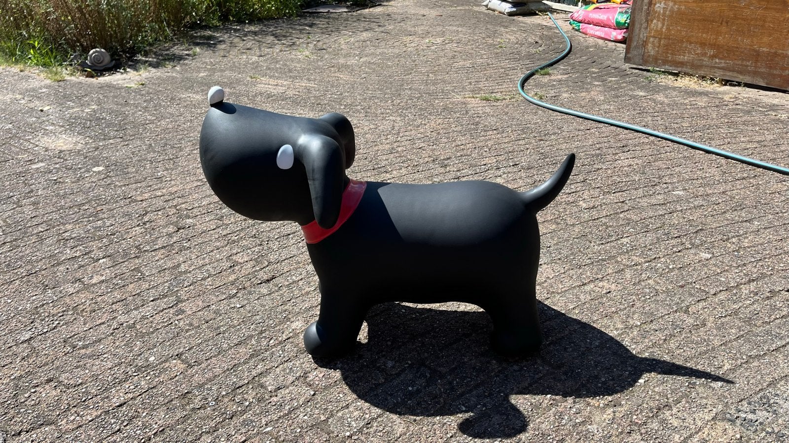 Takkie skippybal hema, Ophalen, Zo goed als nieuw, Jongen of Meisje
