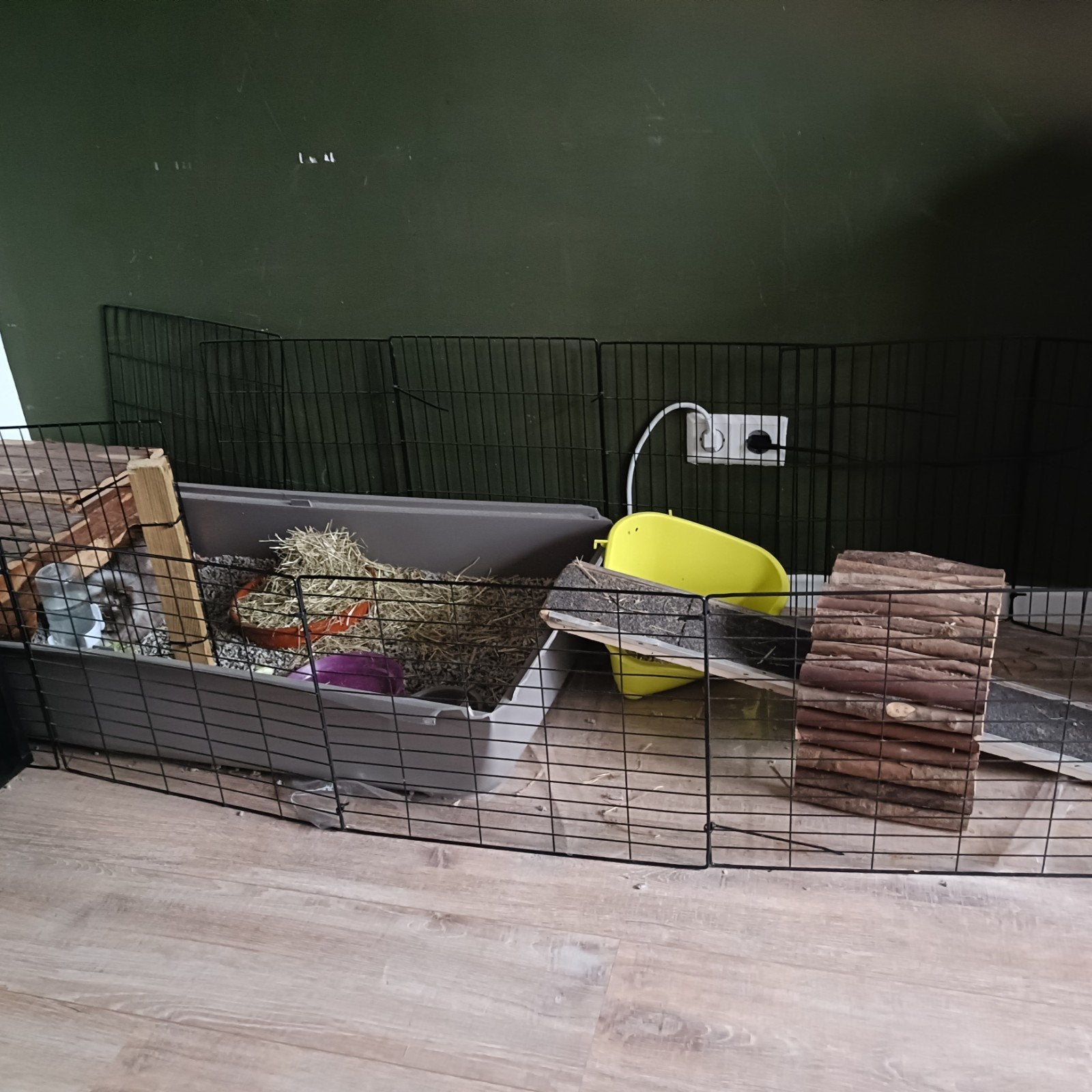 cavia verblijf incl voer en toebehoren, Dieren en Toebehoren, Ophalen of Verzenden