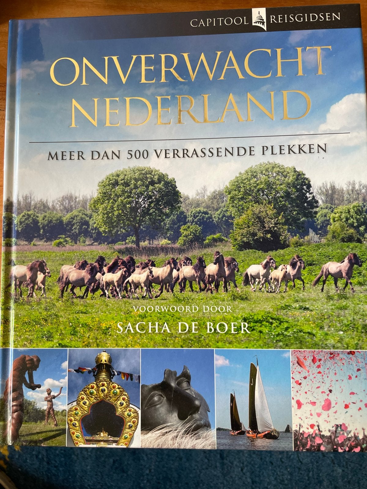 Onverwacht Nederland - Meer dan 500 verrassende plekken, Boeken, Reisgidsen, Capitool, Ophalen of Verzenden, Zo goed als nieuw