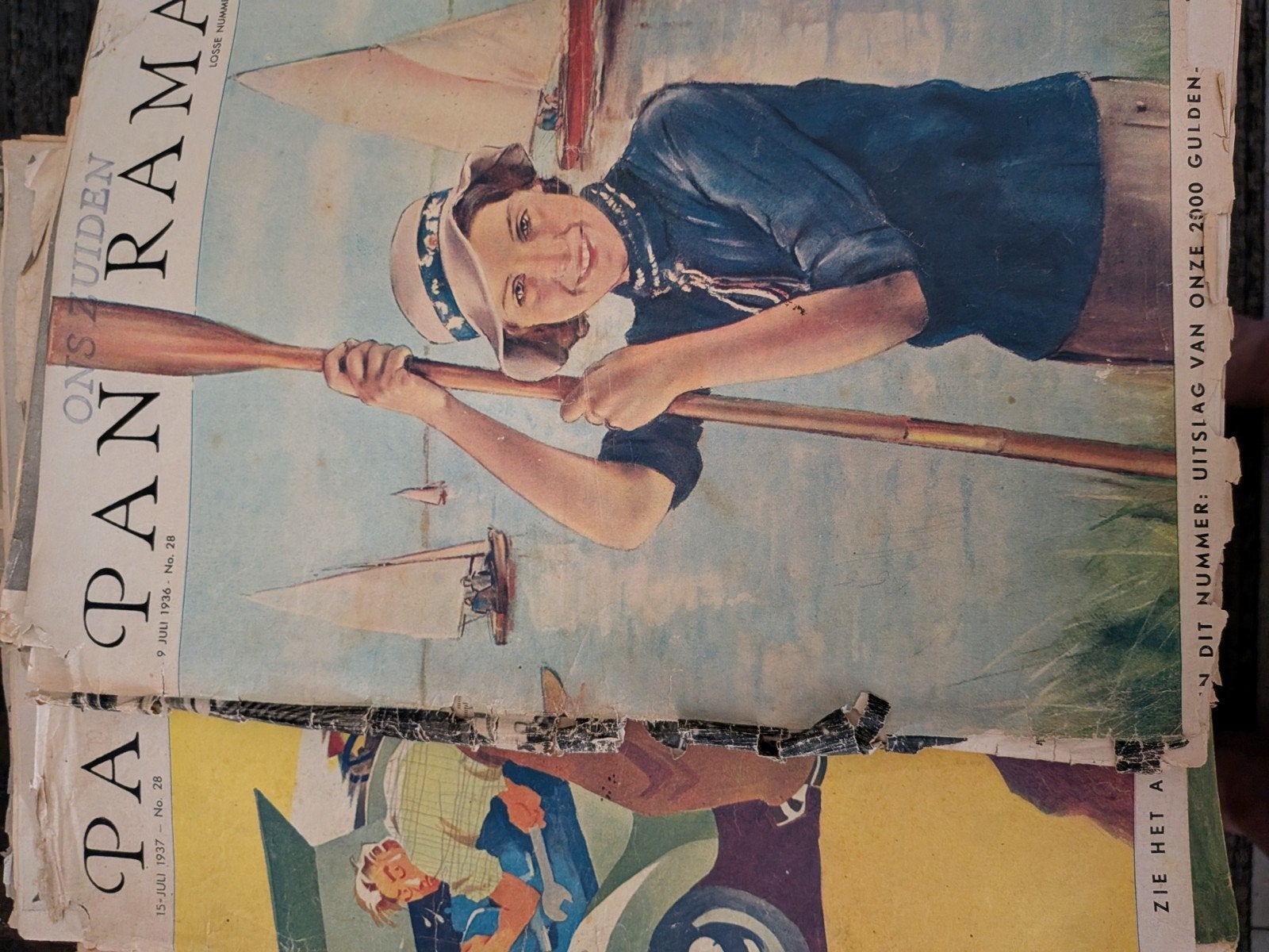 panorama's verschillende nummers en jaartallen, Boeken, Ophalen of Verzenden, Gelezen