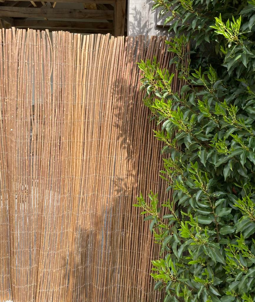 NIEUW Schutting hek hout wilgentakken wilgentenen, Tuin en Terras, Ophalen, Nieuw, Hout