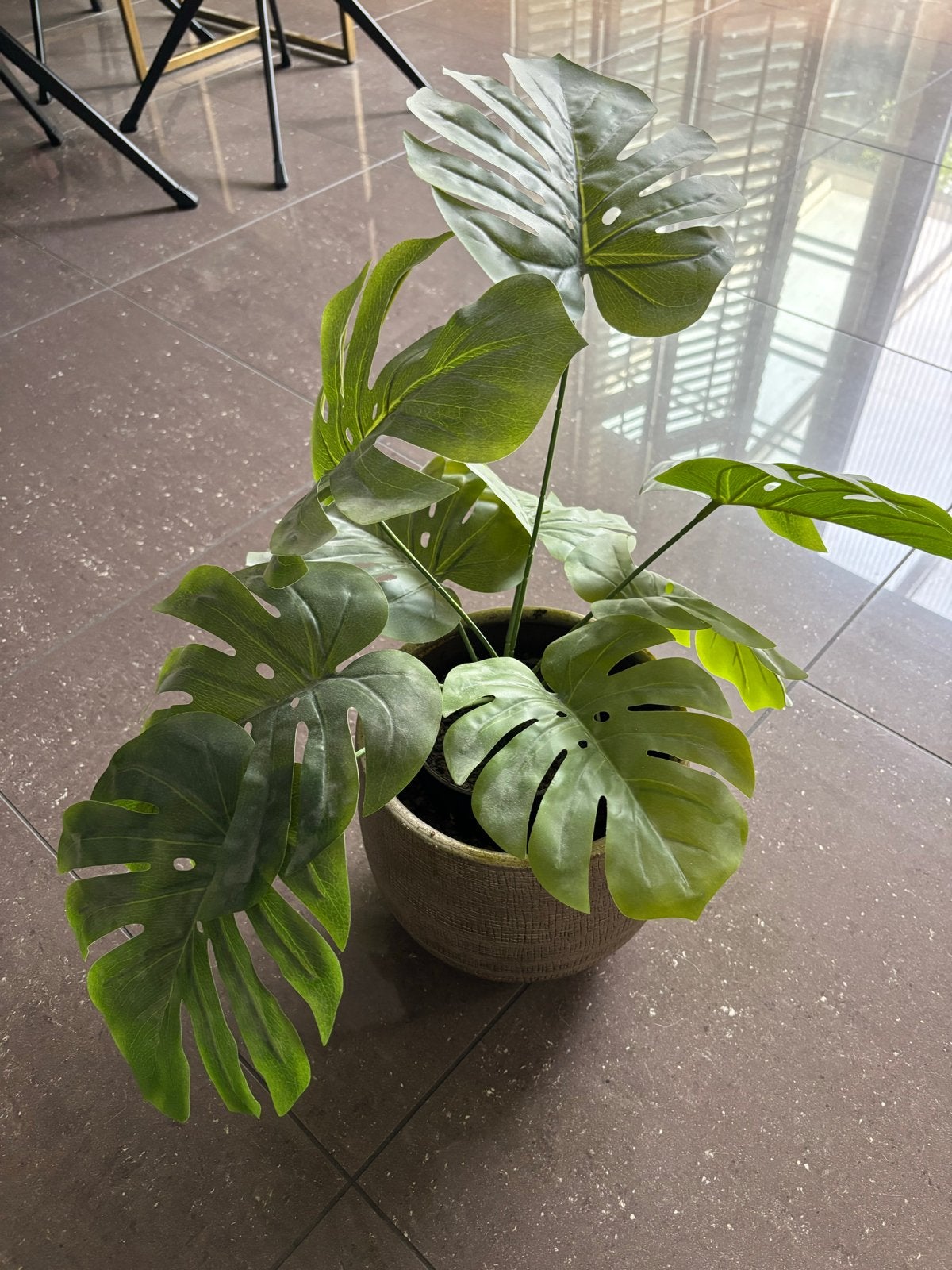 Kunstplant Monstera in gouden pot van Easyplants, Ophalen, Overige soorten, Halfschaduw, In pot