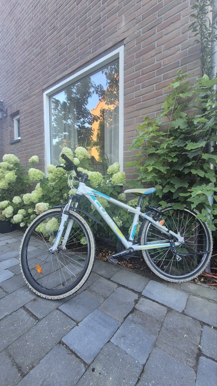 Cube Mountainbike - 24inch, Ophalen, Gebruikt, Staal, 24 inch of meer