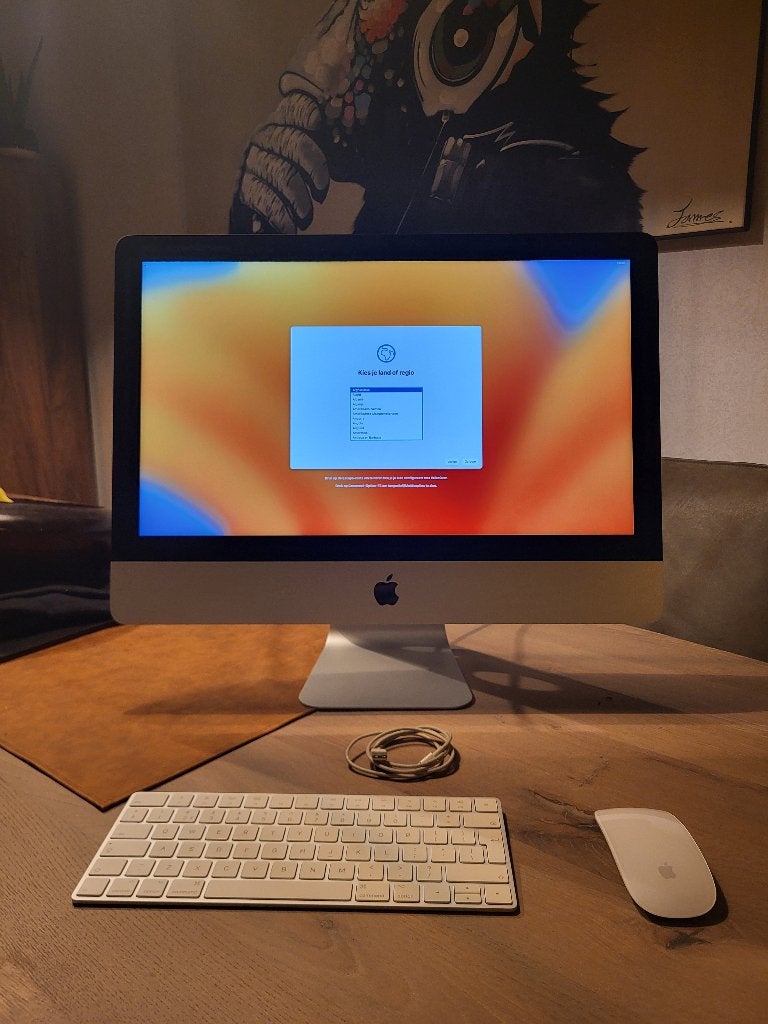 Apple iMac 21.5" Retina 4K (2017) Incl. Toetsenbord & Muis, Ophalen, Gebruikt, IMac, 1 TB
