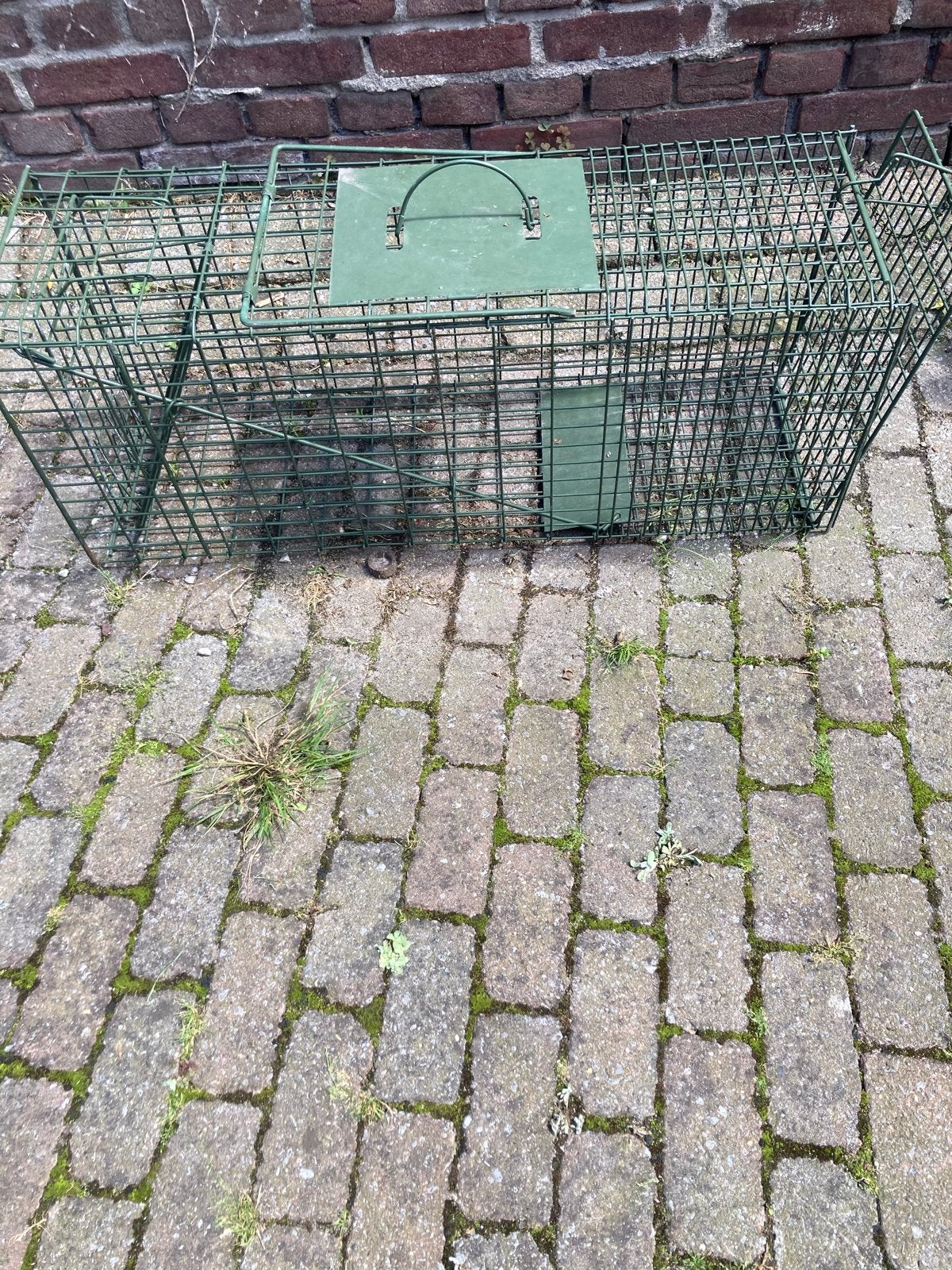 Vangkooi tegen ongedierte, Dieren en Toebehoren, Overige Dieren-accessoires, Ophalen of Verzenden, Zo goed als nieuw