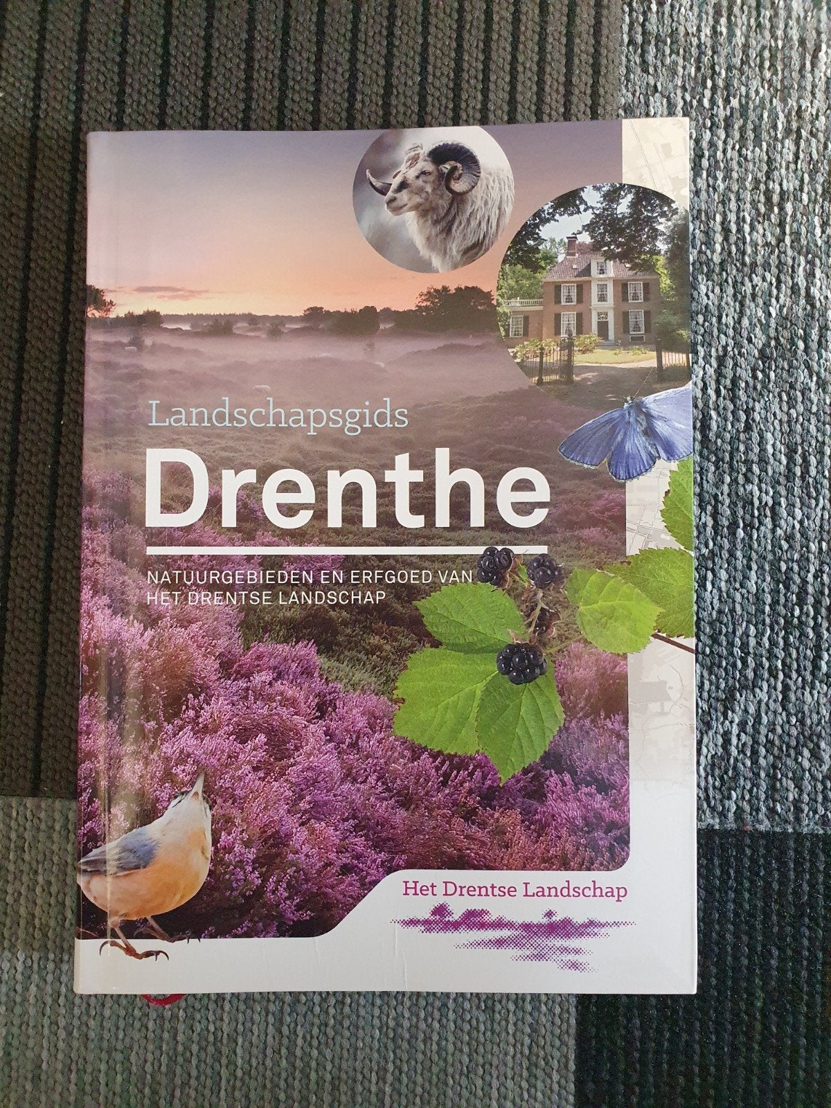 Landschapsgids Drenthe: Natuurgebieden en Erfgoed, Boeken, Overige merken, Ophalen of Verzenden, Zo goed als nieuw, Reisgids of -boek