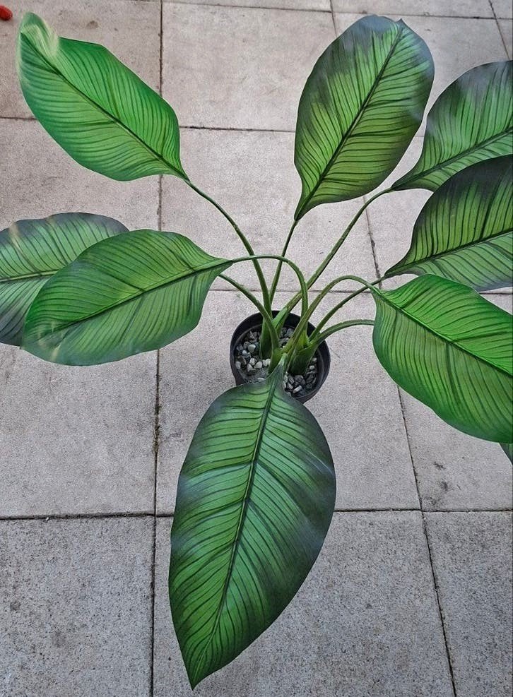 Kunstplant plant, Huis en Inrichting, Kamerplanten, Ophalen, Halfschaduw, Minder dan 100 cm