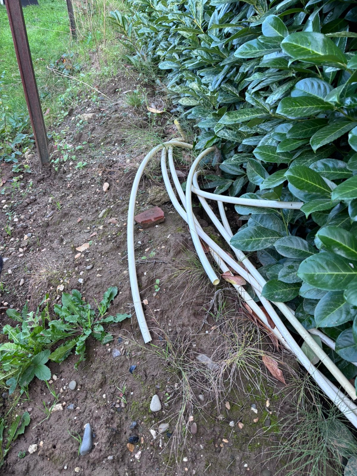 Gratis veel schone zwarte grond / tuinaarde, Tuin en Terras, Ophalen