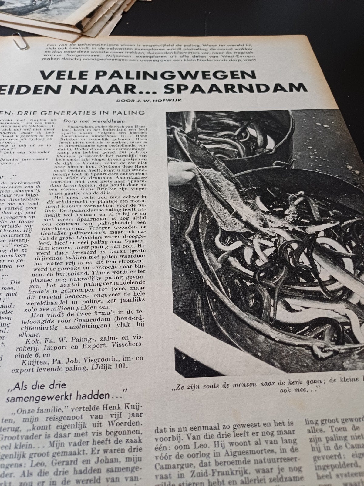 artikel paling Spaarndam 1959, Verzamelen, Ophalen of Verzenden, 1940 tot 1960, Knipsel(s)