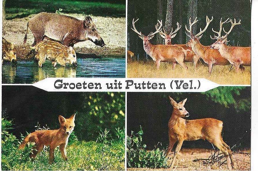 Putten, Ophalen of Verzenden, 1960 tot 1980, Gelopen, Gelderland