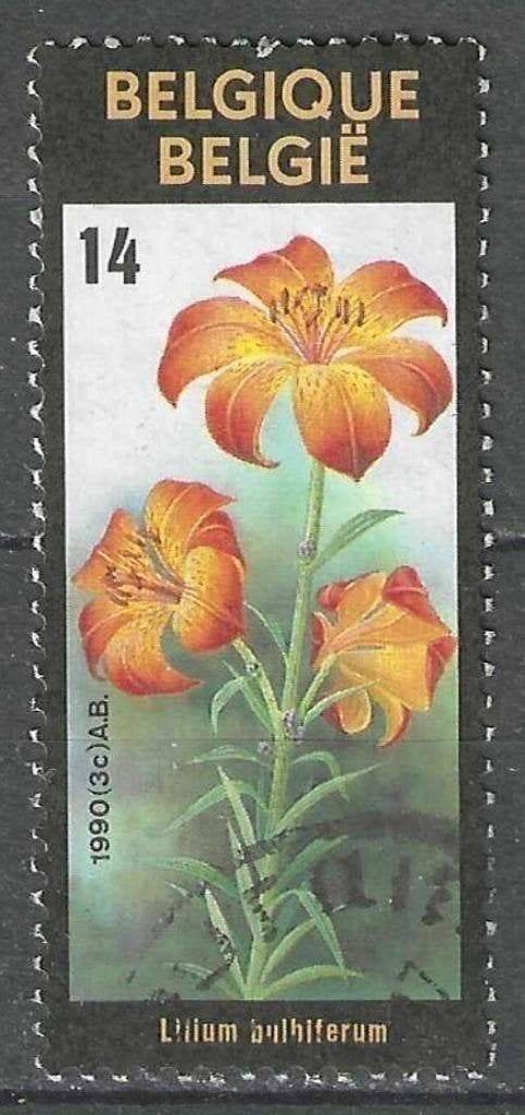 Belgie 1990 - Yvert/OBP 2359 - Gentse Floralien VIII (ST), Verzenden, Gestempeld