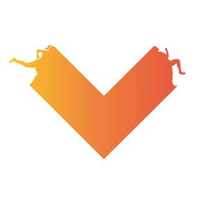 Gezocht: Startbewijs Marathon Valencia 2026, Eén persoon
