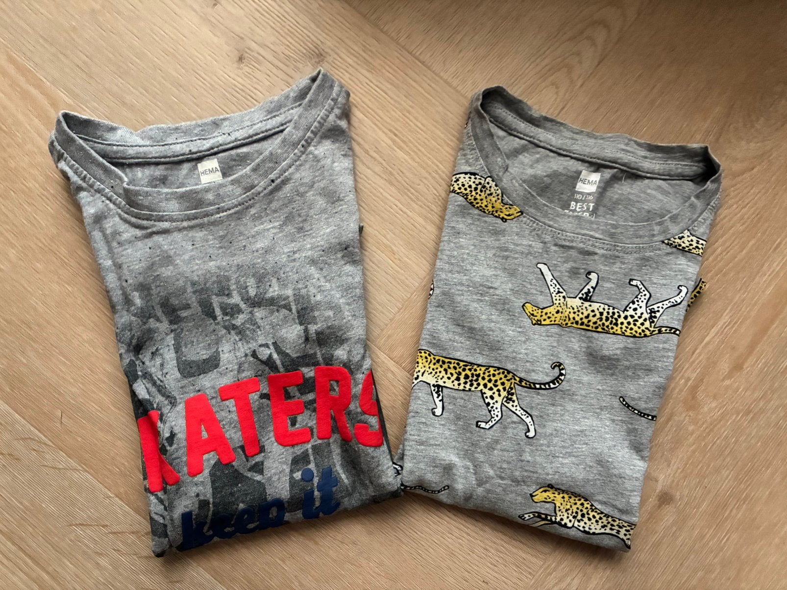2 T-shirts voor jongens, maat 110 - 116 - HEMA, Ophalen of Verzenden, Zo goed als nieuw, Shirt of Longsleeve, Hema