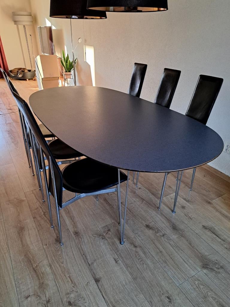 Fasem eettafel (220x110) met 8 Fasem stoelen, Huis en Inrichting, Tafels | Eettafels, Ophalen, Gebruikt, 100 tot 150 cm, 200 cm of meer