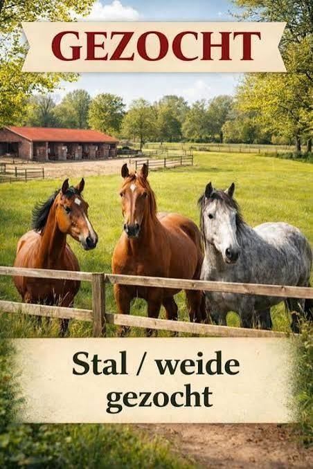 Stal gezocht, Dieren en Toebehoren