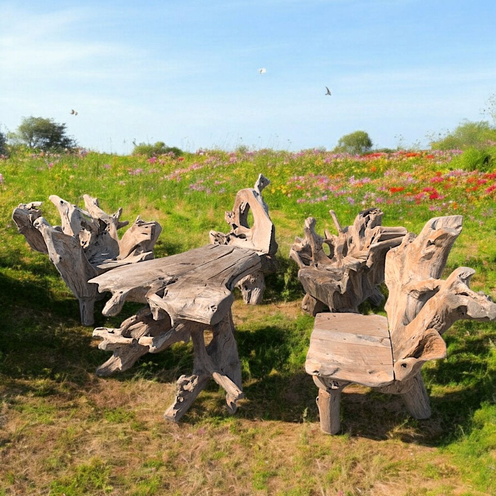 Organische tuinset van teak wortelhout uit Indonesie, Ophalen, Gebruikt, -, -