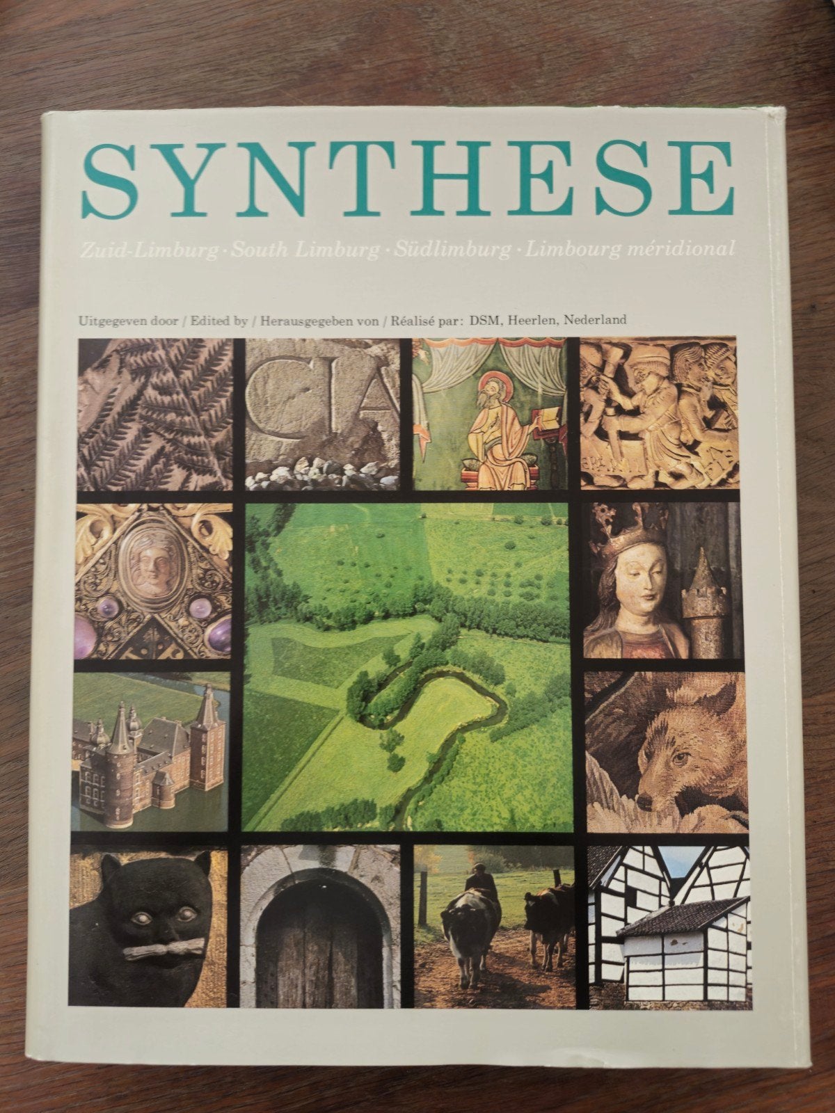 SYNTHESE Zuid-Limburg - Geschiedenis en Cultuur, Ophalen of Verzenden, 20e eeuw of later, Gelezen, DSM, Heerlen
