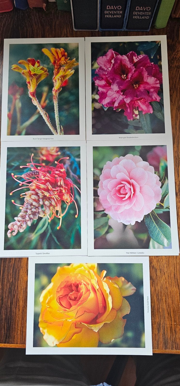 Set van 5 kaarten met prachtige Australische bloemen, Verzenden, 1980 tot heden, Ongelopen
