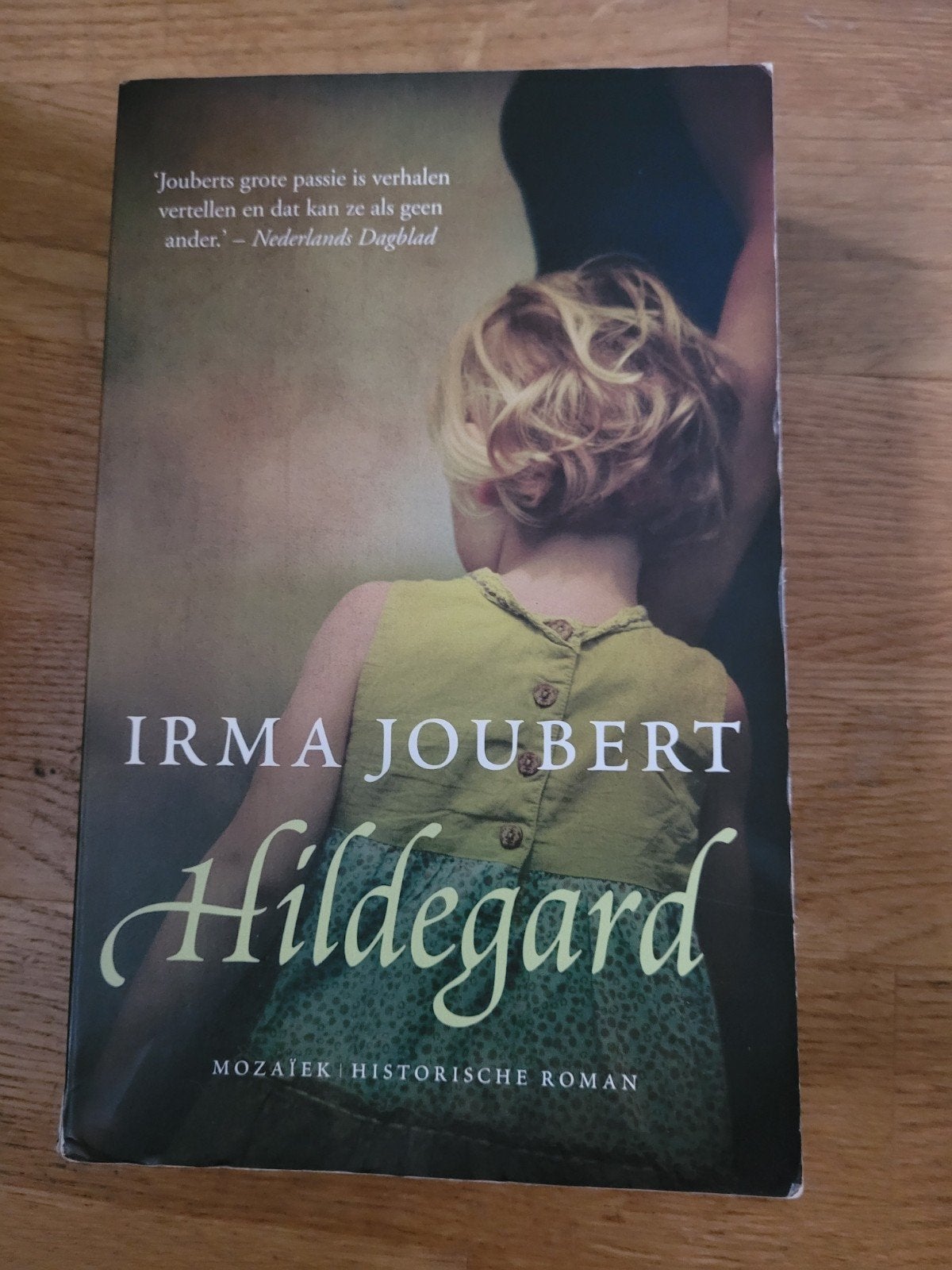 Hildegard - Irma Joubert (Historische Roman), Ophalen, Gelezen, Irma Joubert
