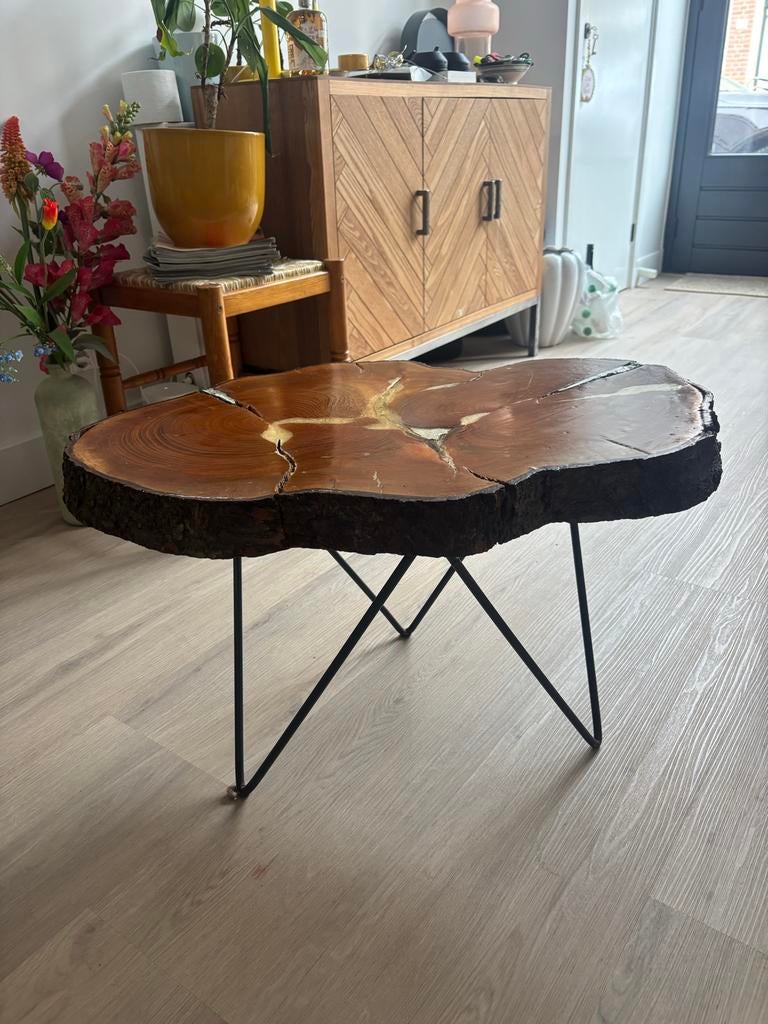 Bijzettafel van boomstam met metalen poten, Ophalen, Minder dan 45 cm, Gebruikt, 55 tot 75 cm