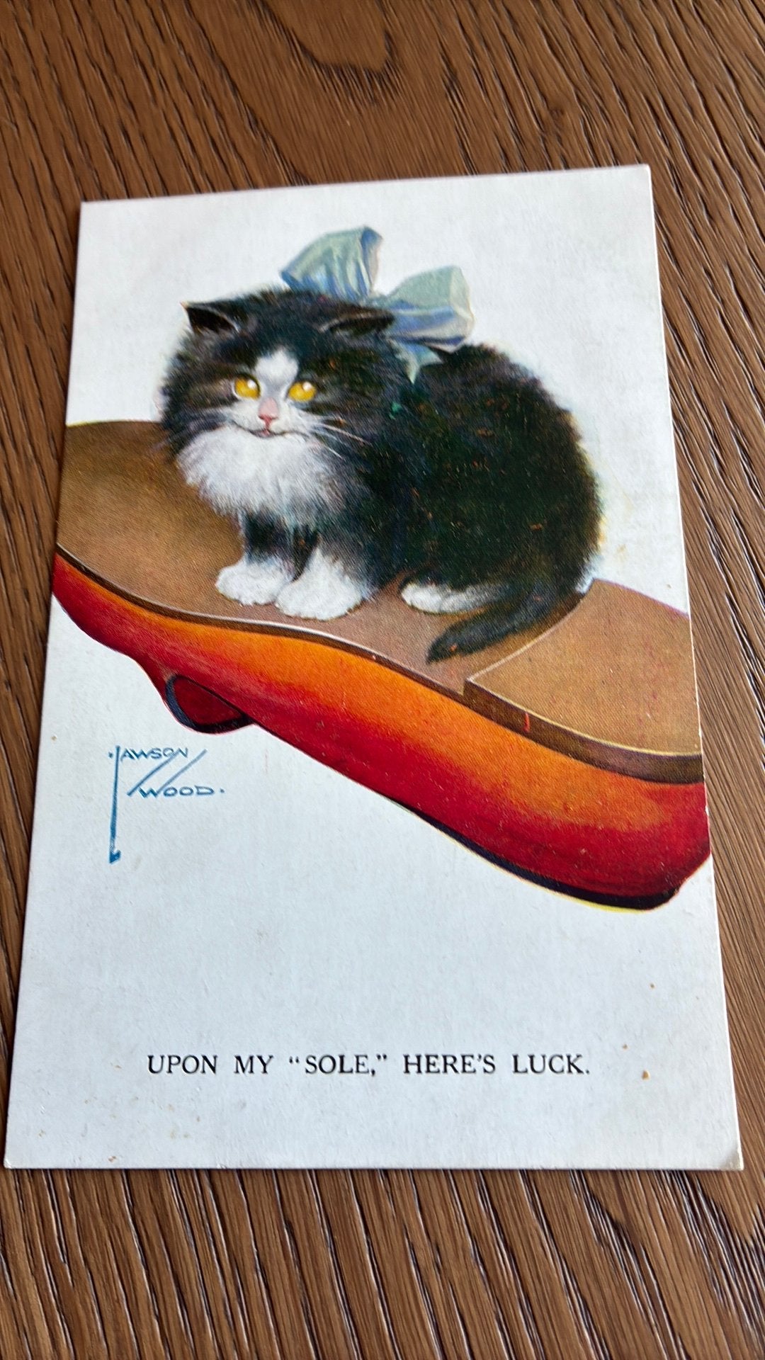 Lawson WOOD. Poes op schoenzool, Ophalen of Verzenden, Overige thema's