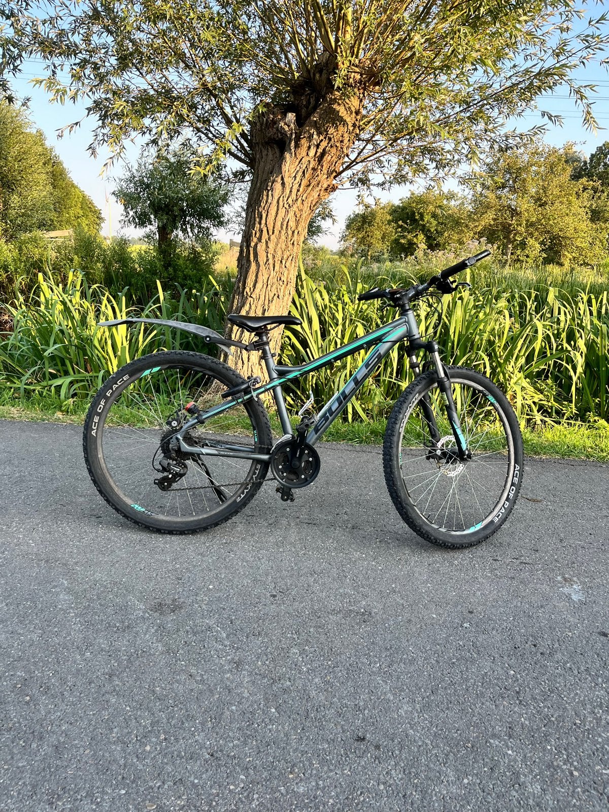 Mooie mountainbike - opknapper, goed voor wheelies!, Gebruikt, Hardtail, Schijfrem, Ophalen