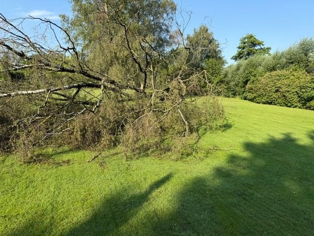 open haard hout, 3 tot 6 m³, Ophalen