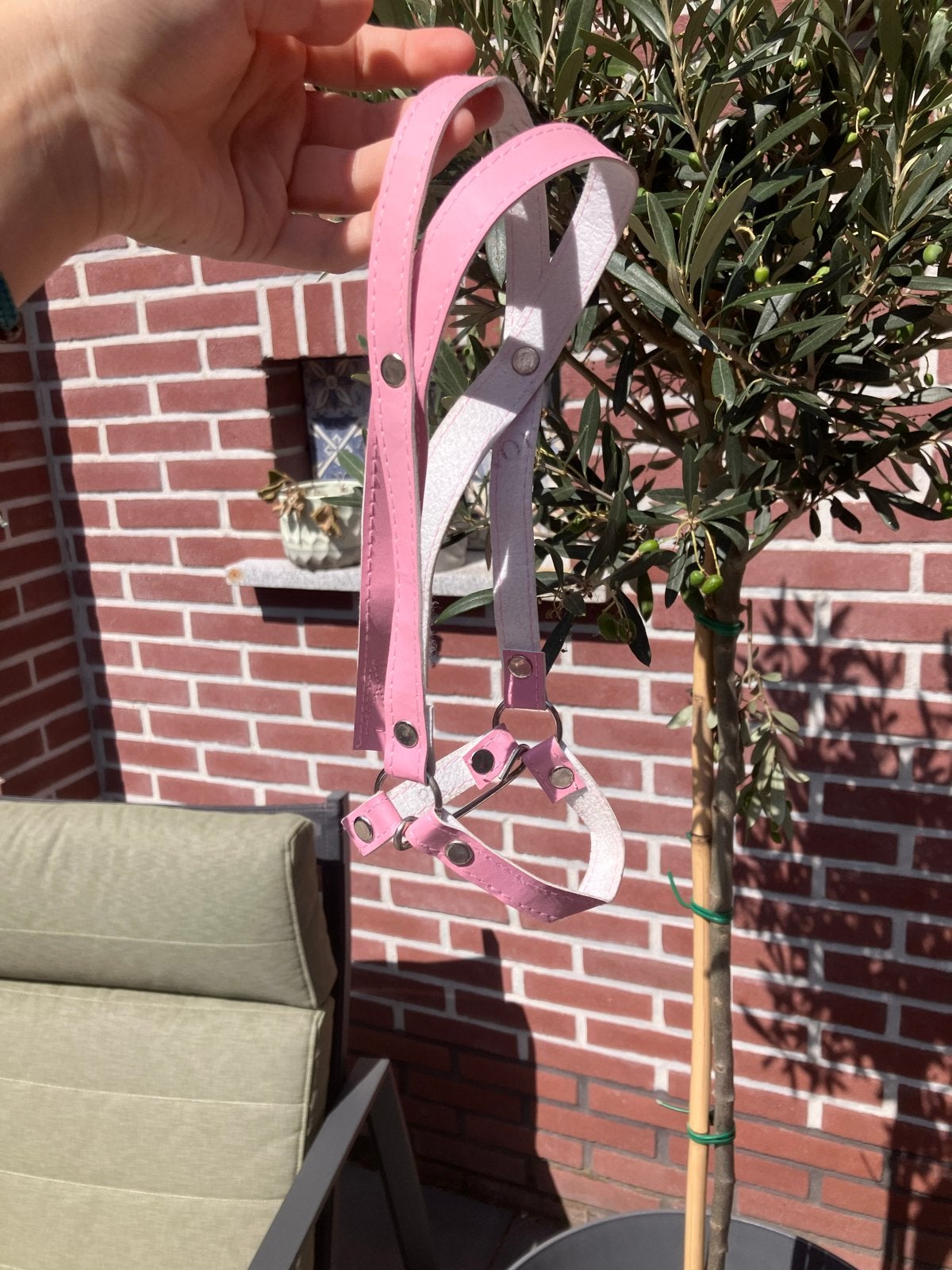 Hobbyhorse hoofdstel roze, Ophalen of Verzenden, Nieuw, Jongen of Meisje
