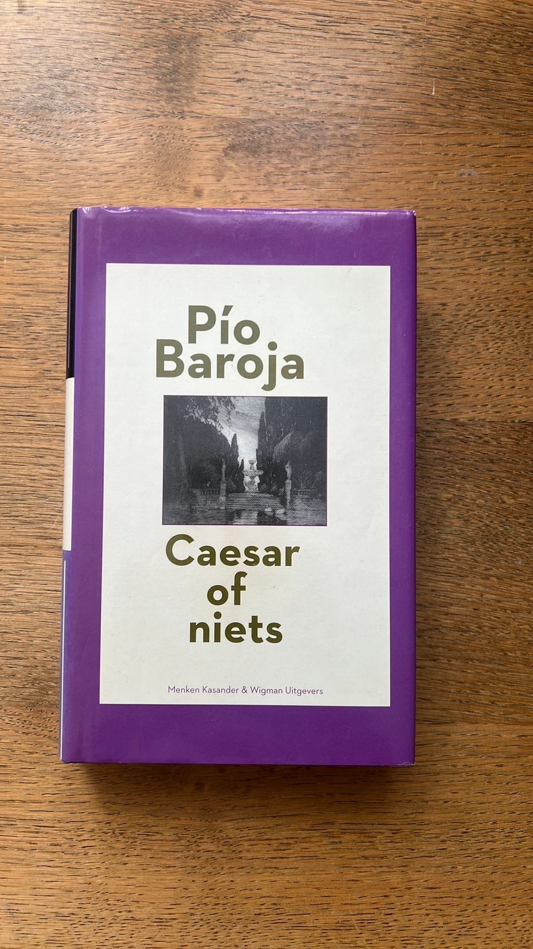 Pío Baroja - Caesar of niets, Ophalen of Verzenden, Zo goed als nieuw, Pío Baroja