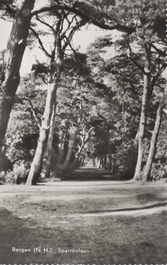 Bergen 3 kaarten, Verzenden, 1960 tot 1980, Gelopen, Noord-Holland