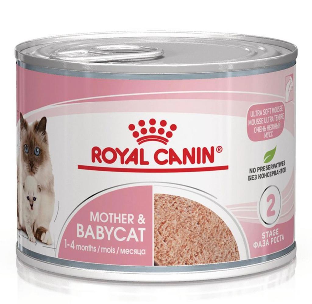 Royal canin mother & babycat mousse 12x 195 gr tray, Ophalen of Verzenden, Kat