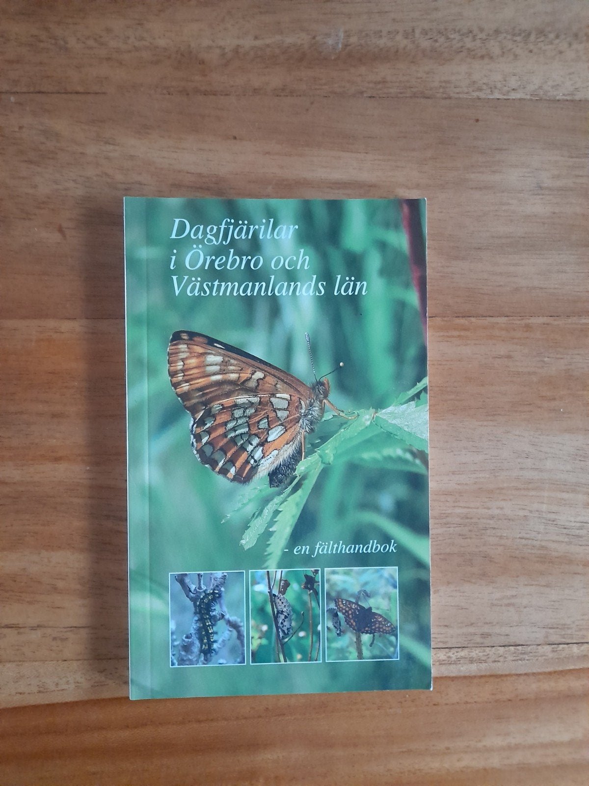 Dagvlinders in Örebro en Västmanlands län - Veldgids, Zweeds, Boeken, Ophalen of Verzenden, Zo goed als nieuw, Vogels, Onbekend