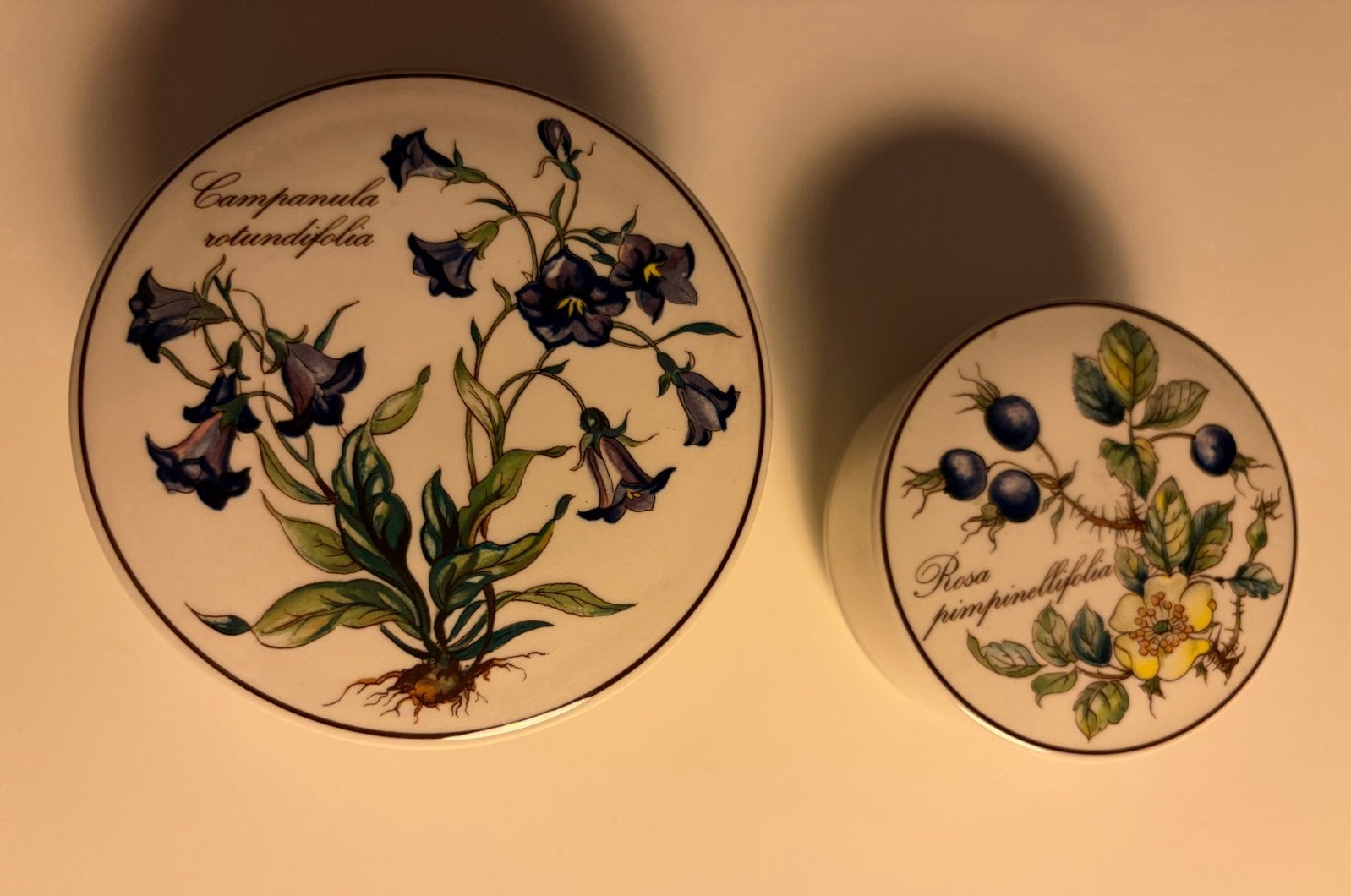 Villeroy & Boch Botanica: 2 porseleinen doosjes, Ophalen of Verzenden