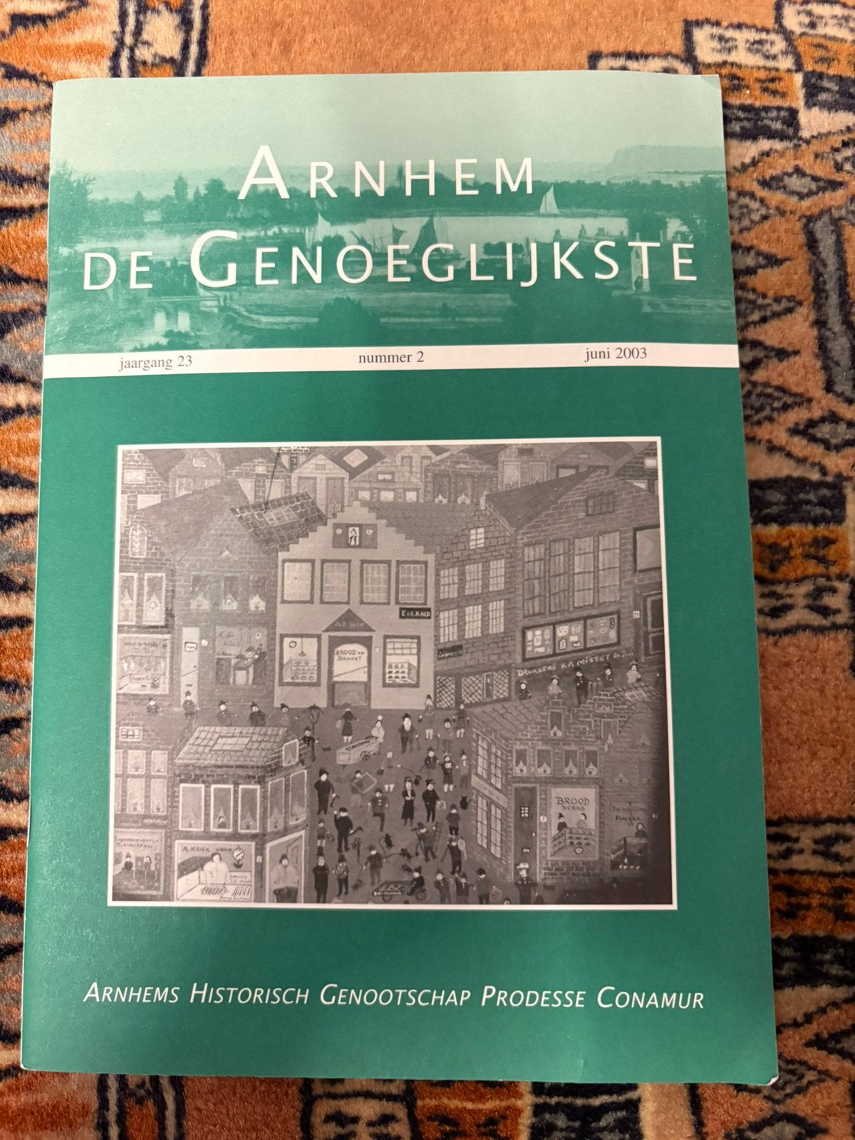 Arnhem de genoeglijkste., Boeken, Geschiedenis | Stad en Regio, Verzenden, 19e eeuw, Gelezen